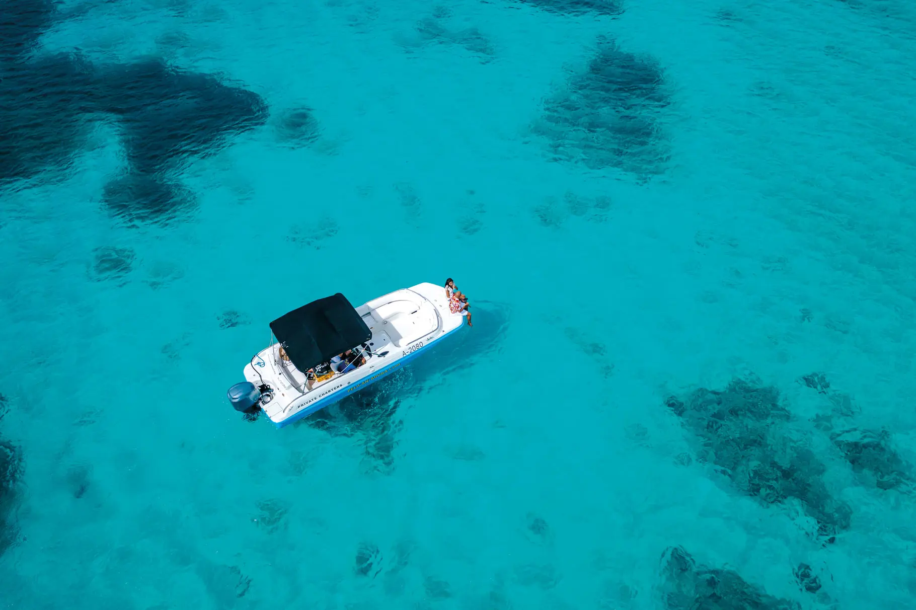 Pelicanto Pelican Adventures